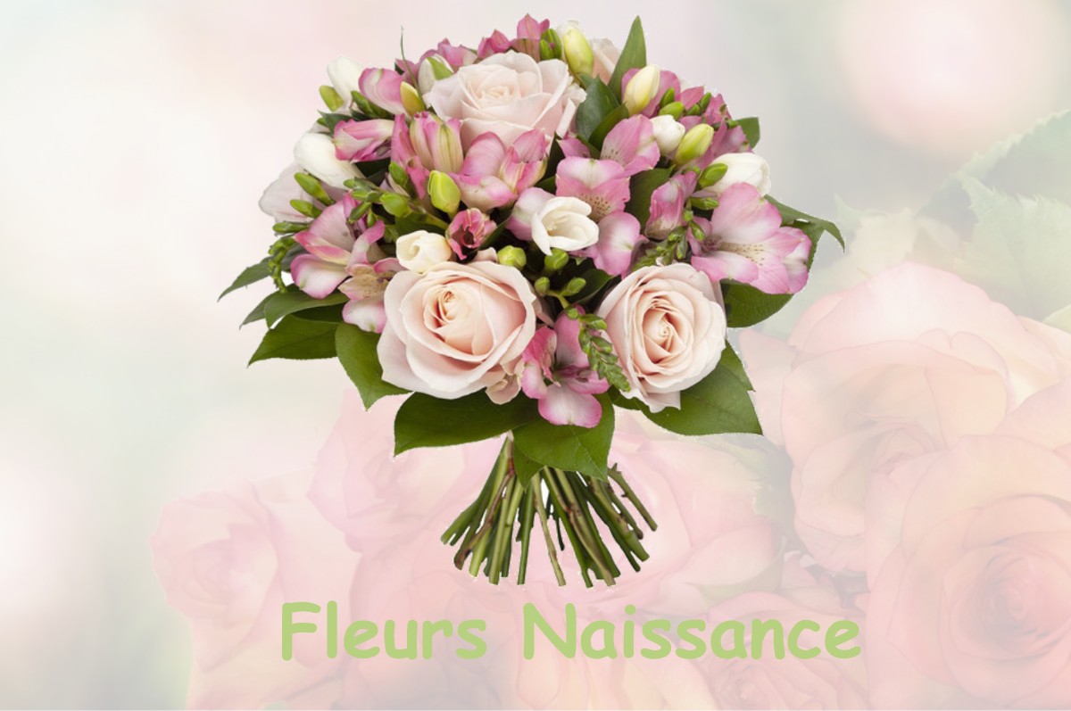 fleurs naissance NEANT-SUR-YVEL