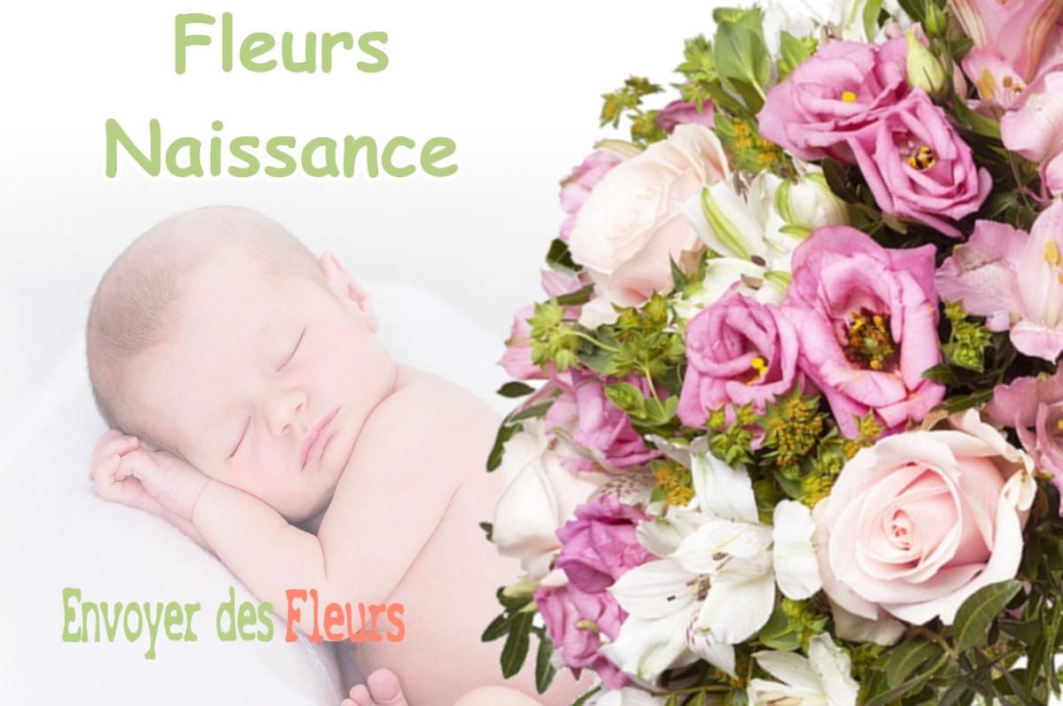 lIVRAISON FLEURS NAISSANCE à NEANT-SUR-YVEL